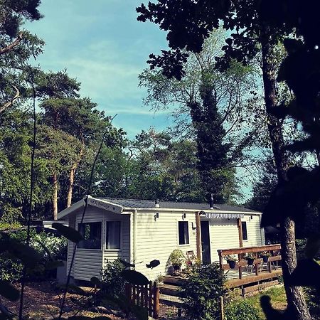 Knus Chalet Midden In De Bossen Nunspeet Exterior photo