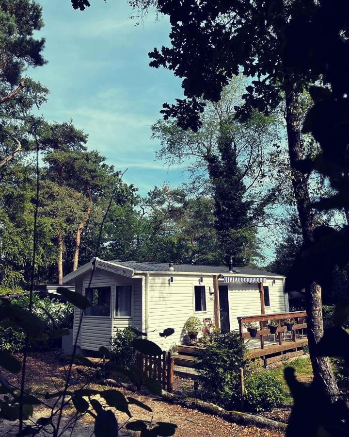 Knus Chalet Midden In De Bossen Nunspeet Exterior photo